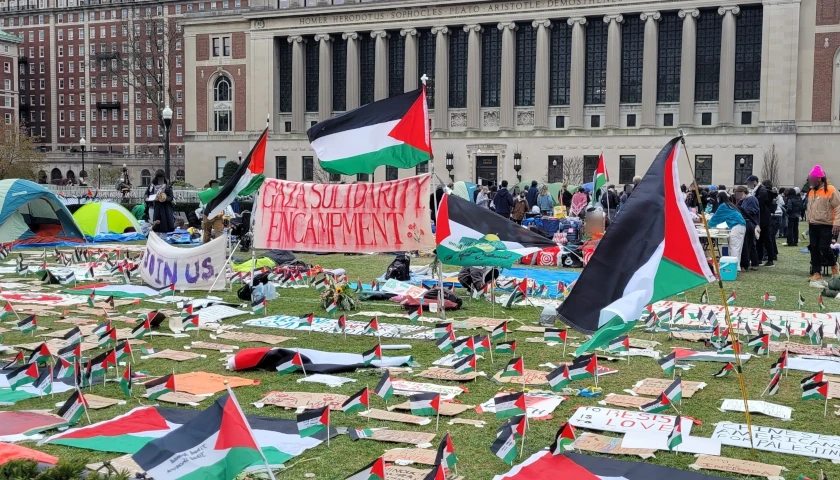 Pro-Palestine Protest